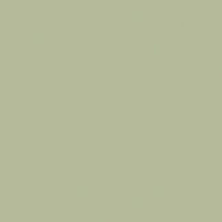 Avocado Green - 22458MN